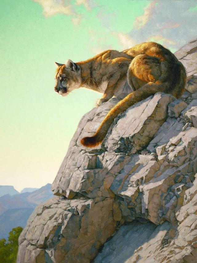 动物油画作品欣赏格雷格·比彻姆(greg beecham)美国写实主义画家
