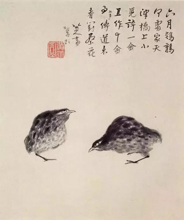 清 朱耷 《鹌鹑》